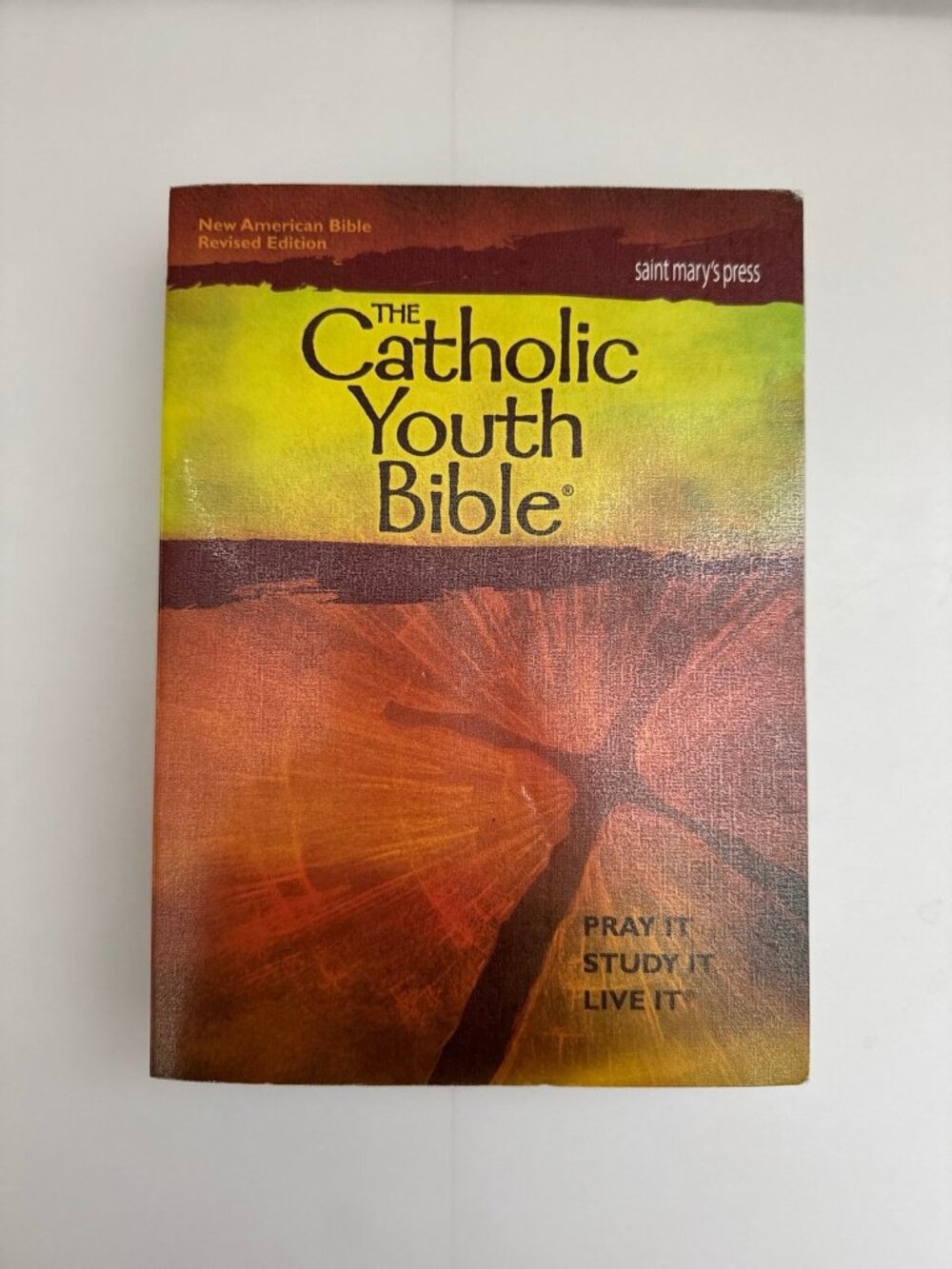 The Catholic youth Bible  soft cover 2012 faith religion studies education